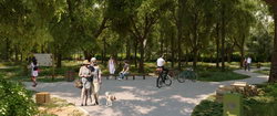 Public Park Public Park